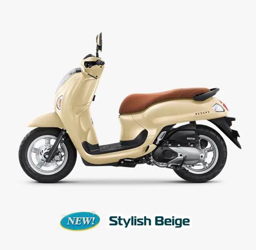 SCOOPY STYLISH